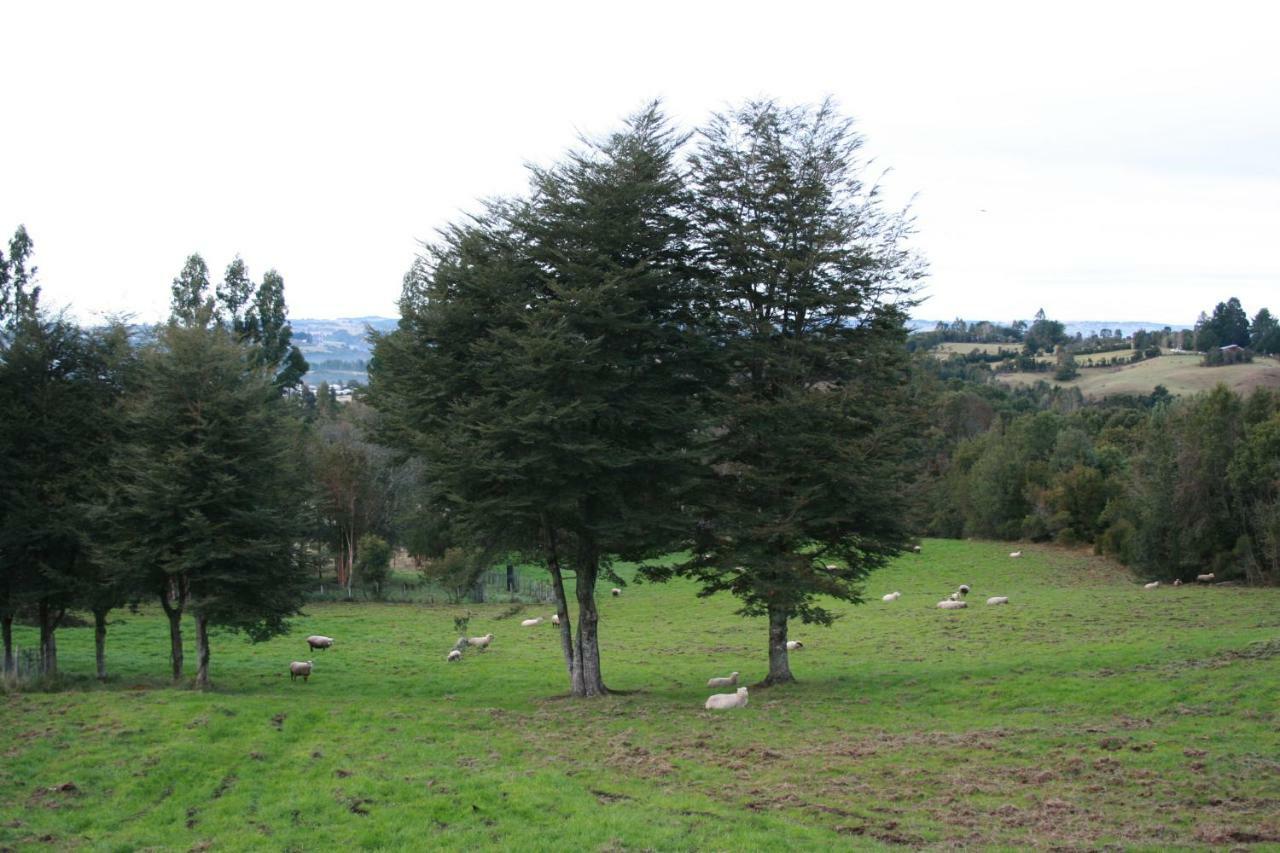 Agroturismo Los Colihues Βίλα Castro Εξωτερικό φωτογραφία